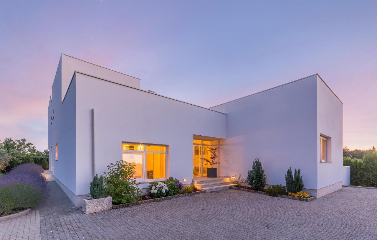 Villa Kate Istria Zminj Exterior photo