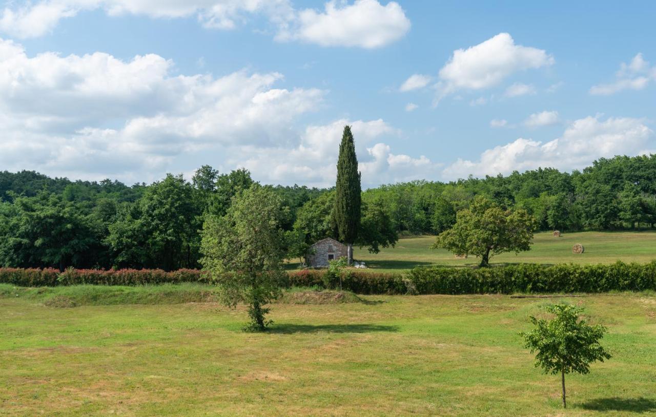 Villa Kate Istria Zminj Exterior photo