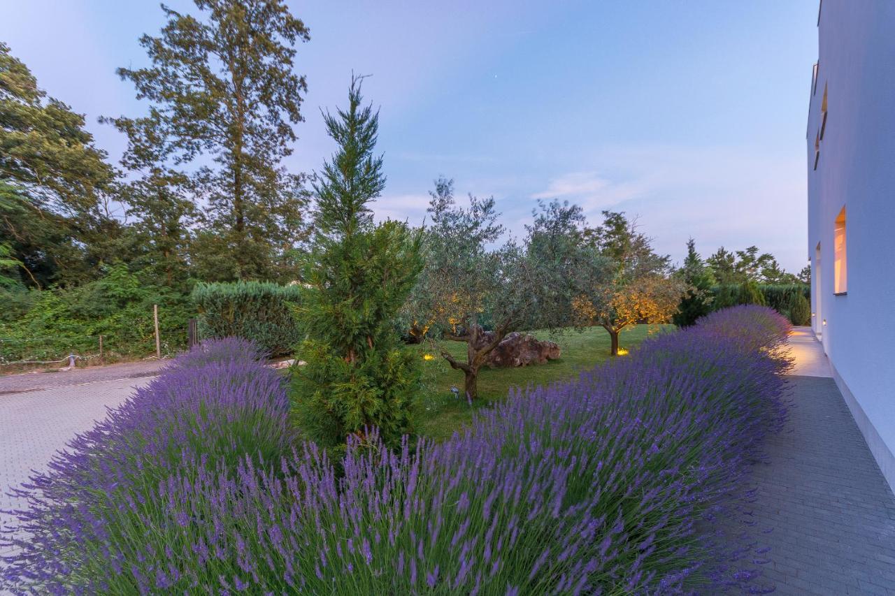 Villa Kate Istria Zminj Exterior photo